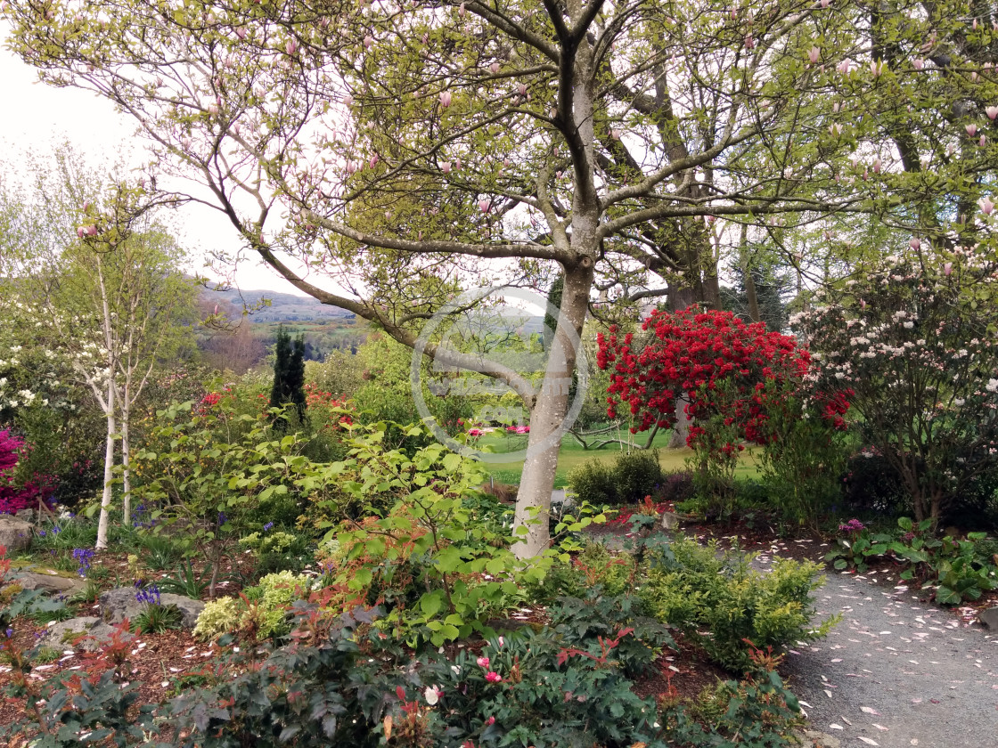 "Bodnant Garden" stock image