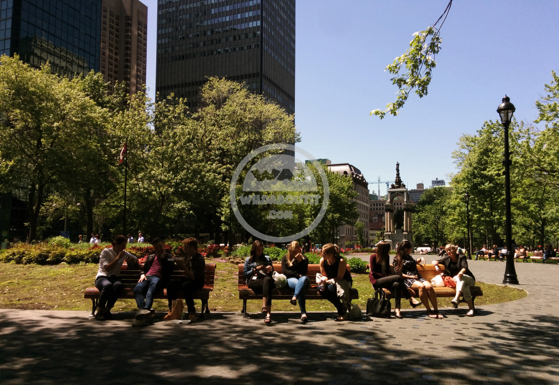 "Place du Canada" stock image