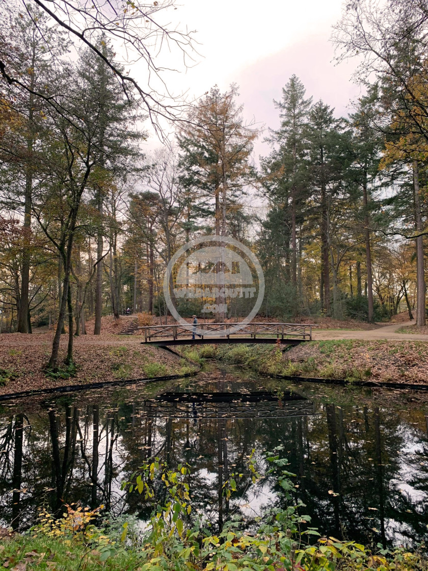 "Woodland Trail" stock image