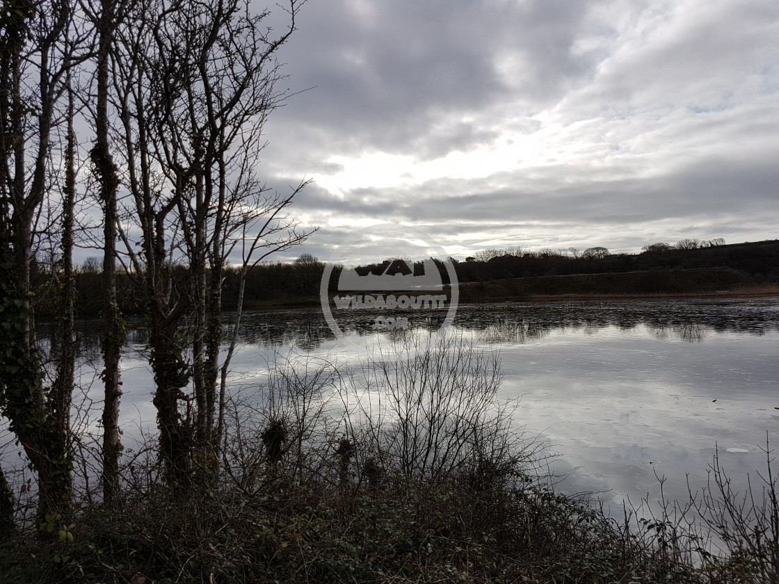 "Cosmeston Lakes" stock image