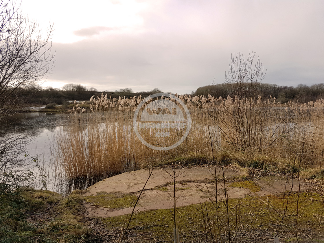 "Cosmeston Lakes" stock image