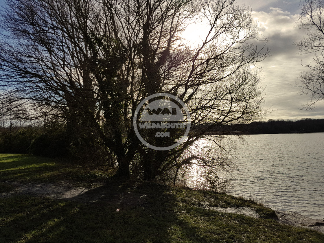 "Cosmeston Lakes" stock image