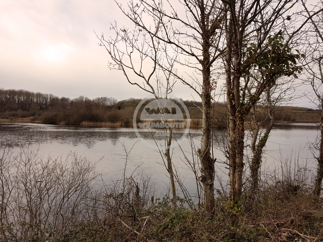 "Cosmeston Lakes" stock image