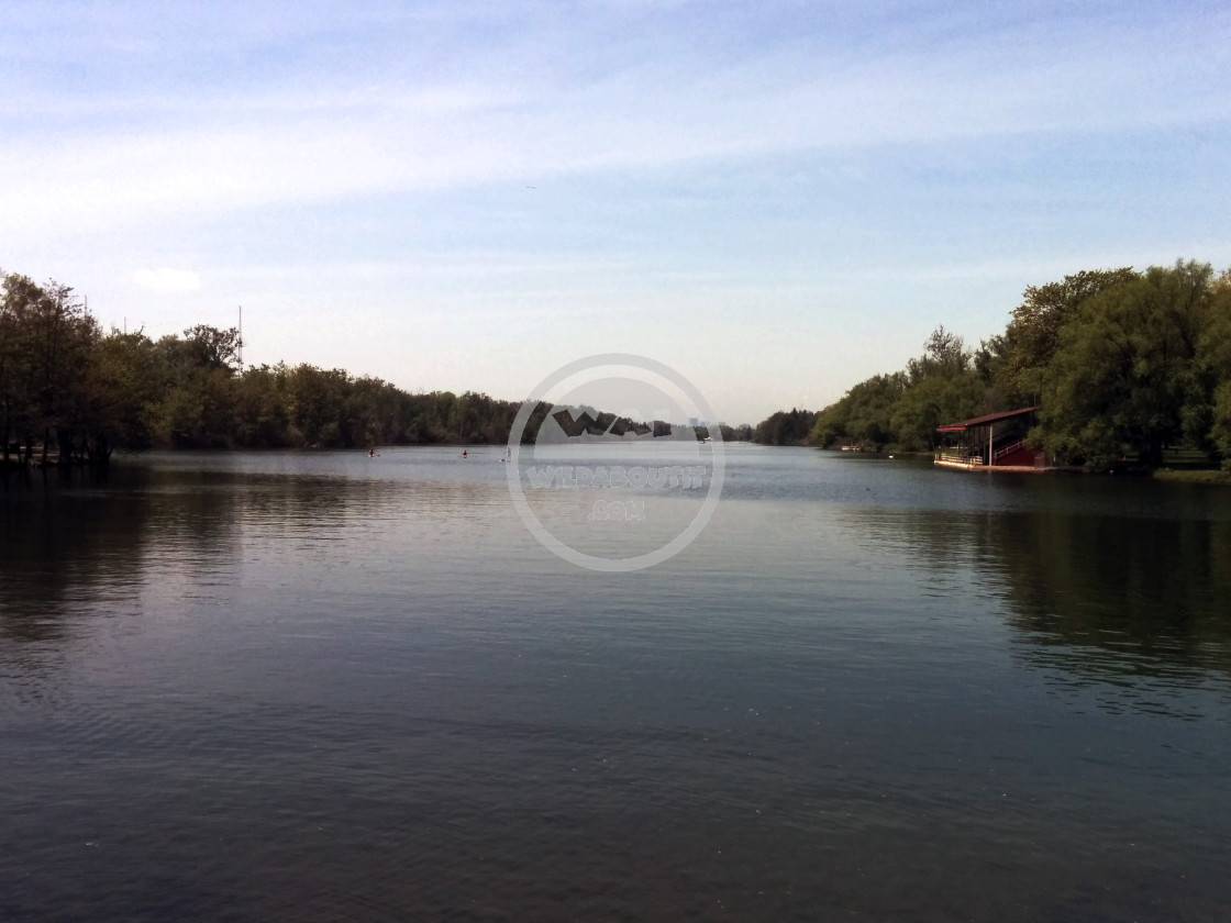 "Toronto Islands" stock image