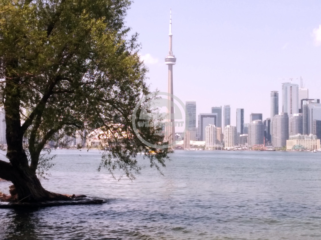 "Toronto Skyline" stock image