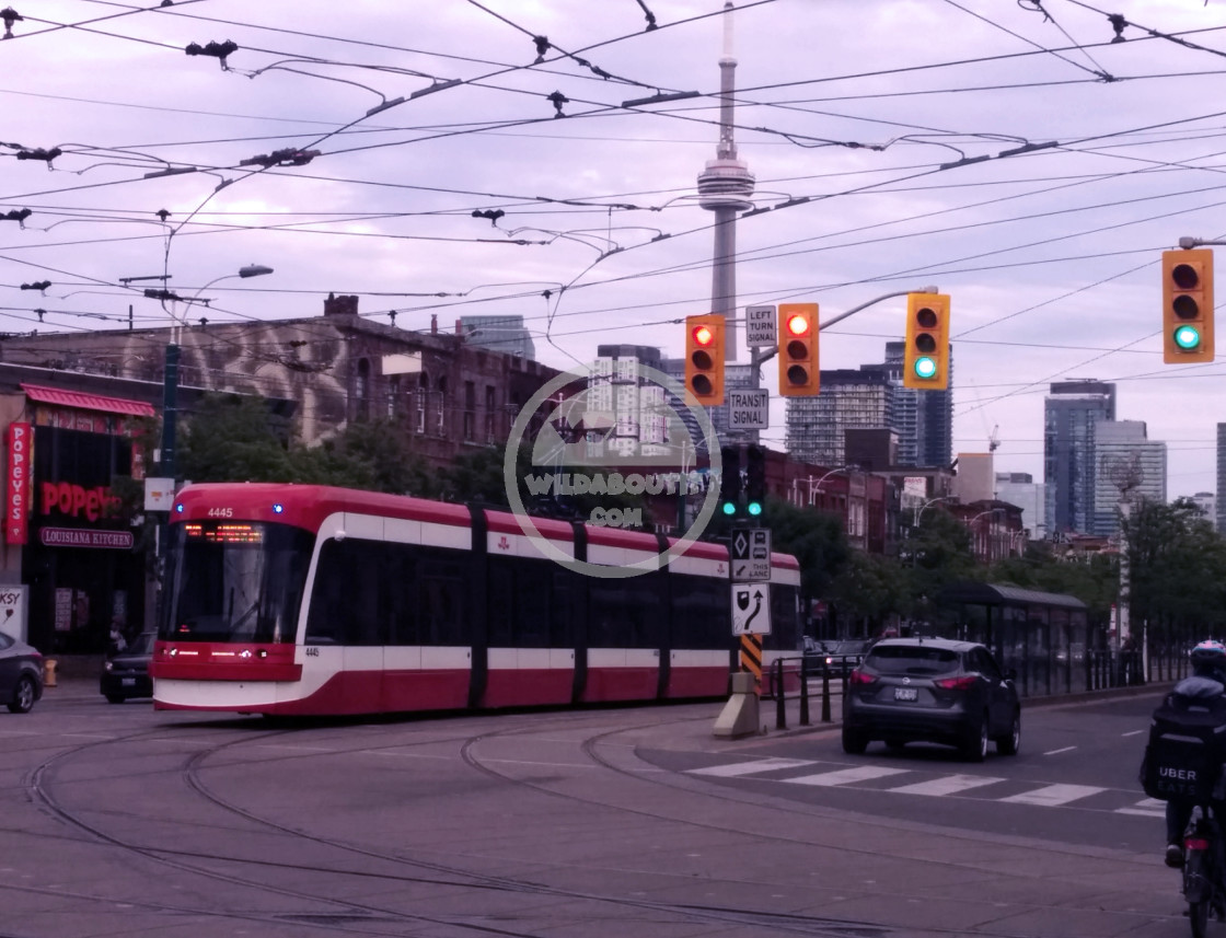 "Toronto Tram" stock image