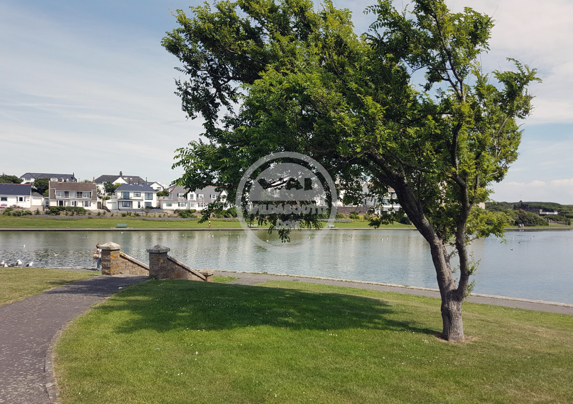 "Knap Gardens" stock image