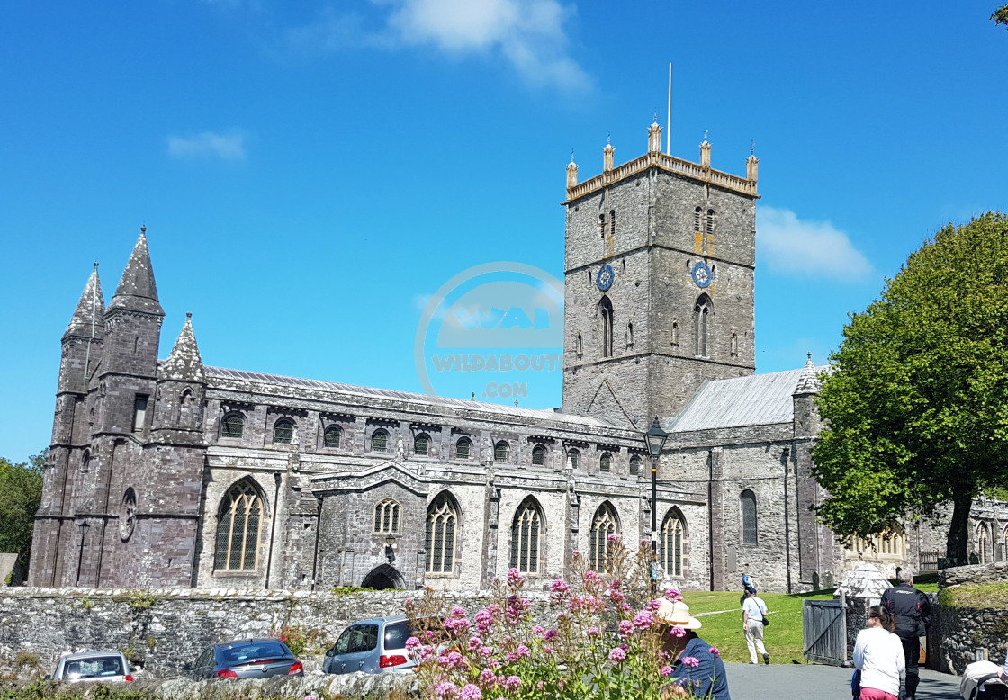 "St Davids Cathedral" stock image