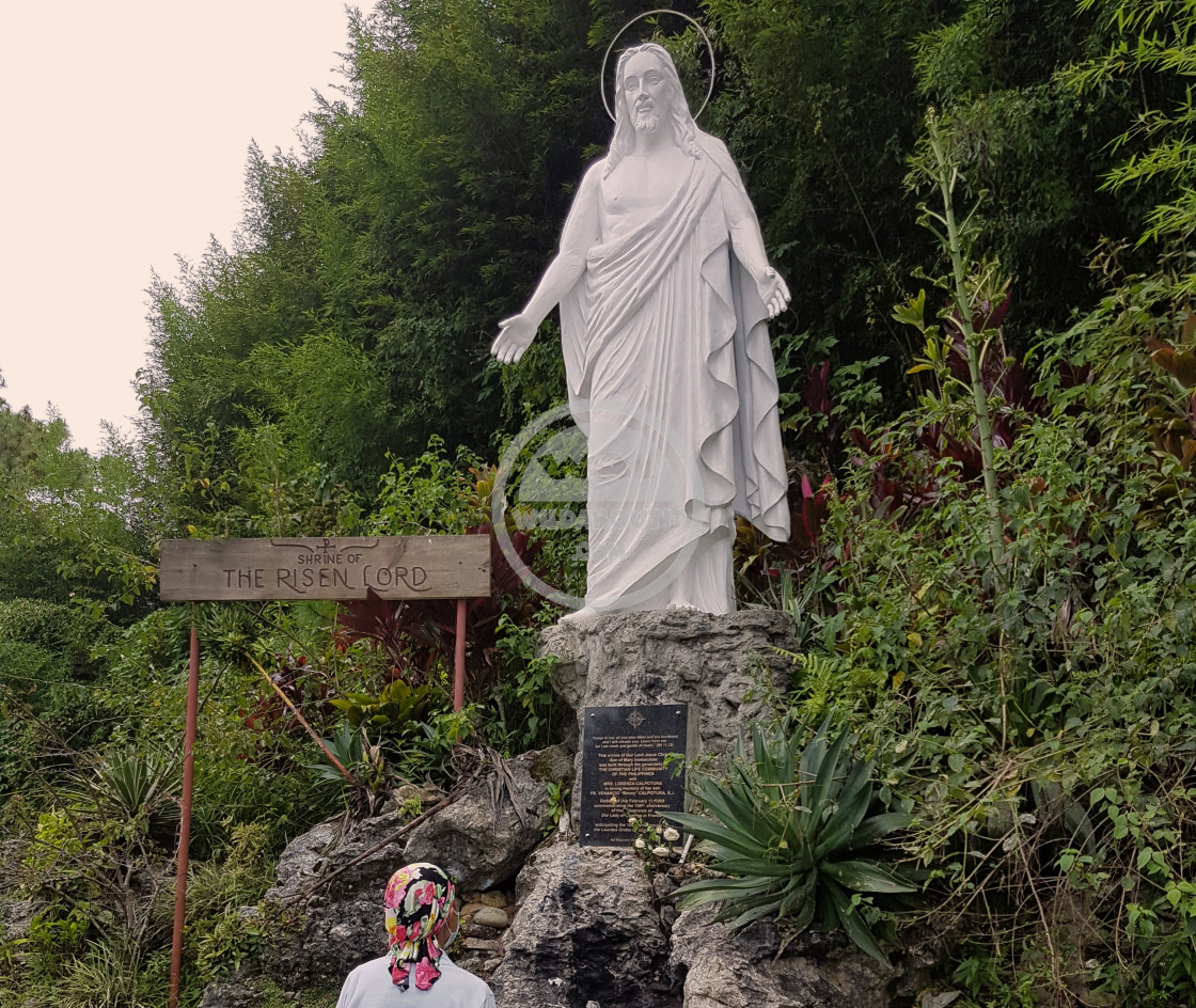 "Lourdes Grotto" stock image