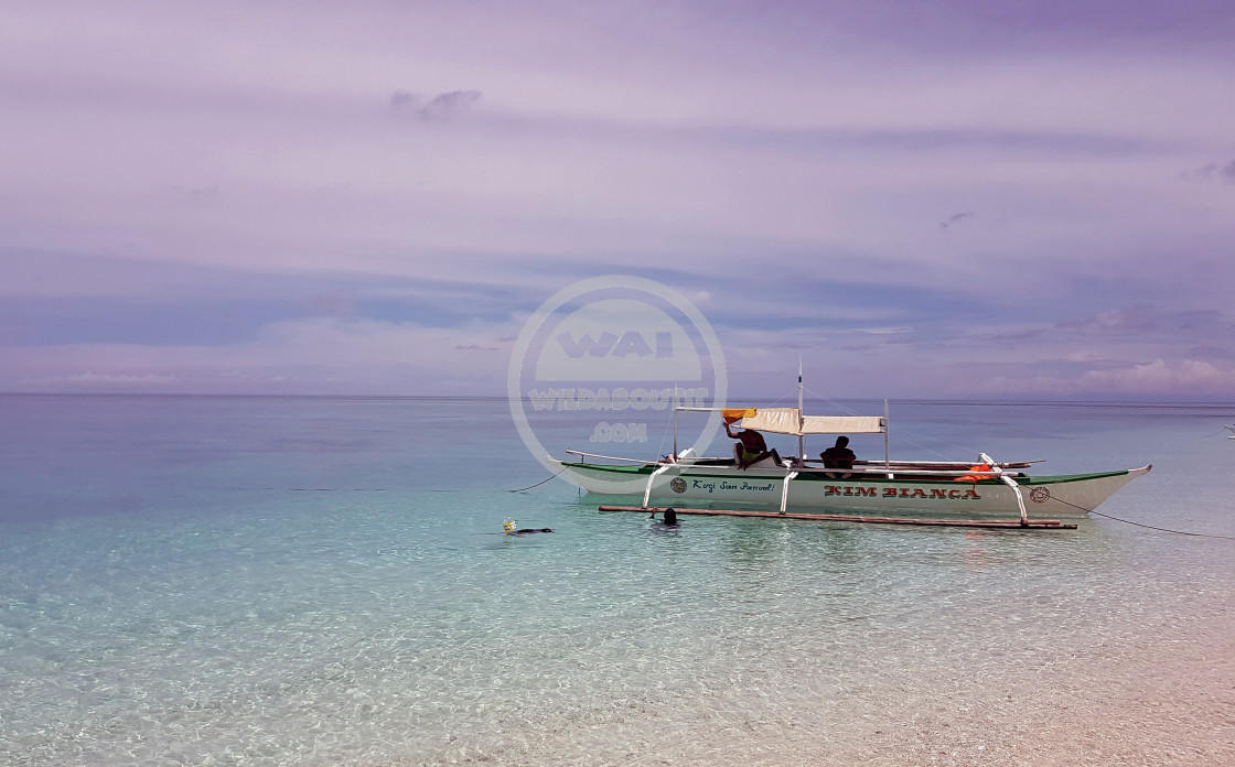 "Banca Check" by Steve Harrison - $3.72 "Banca Check" stock image
