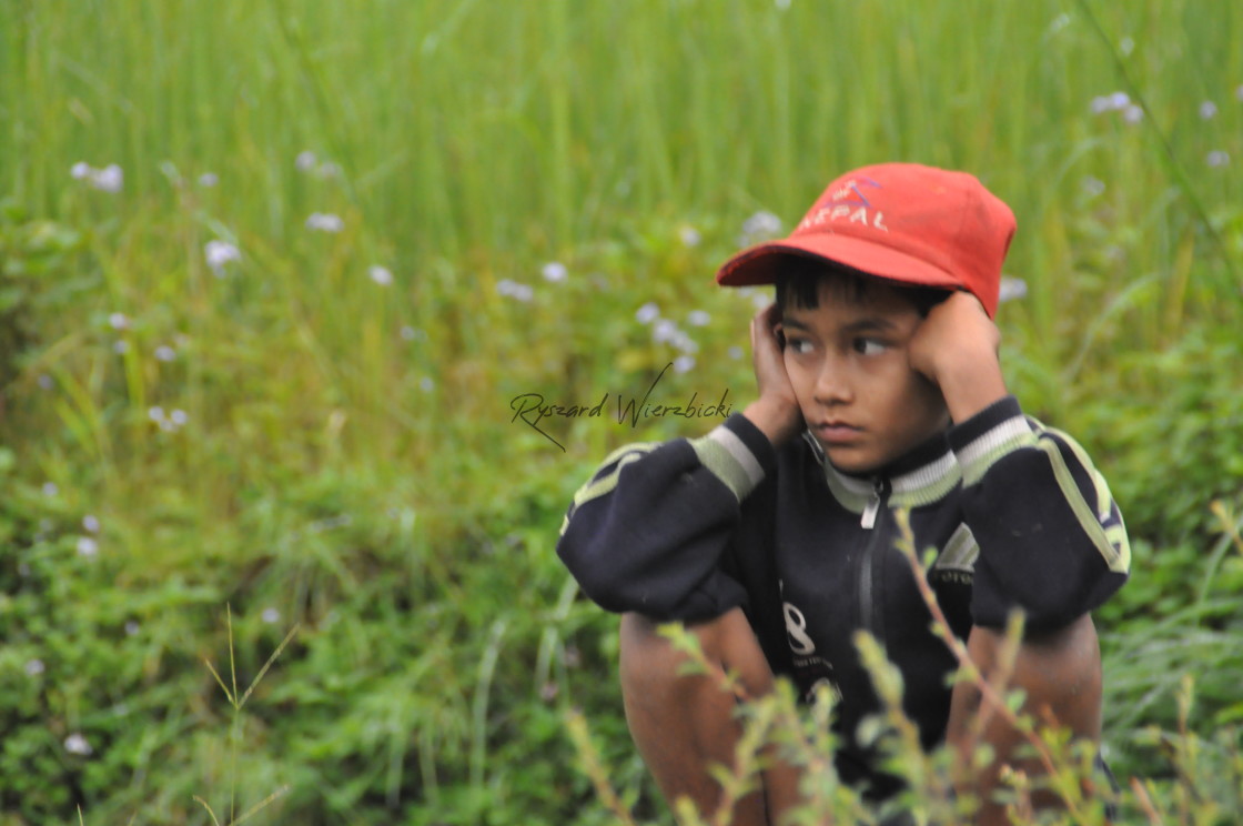 "Grass Sitter" stock image