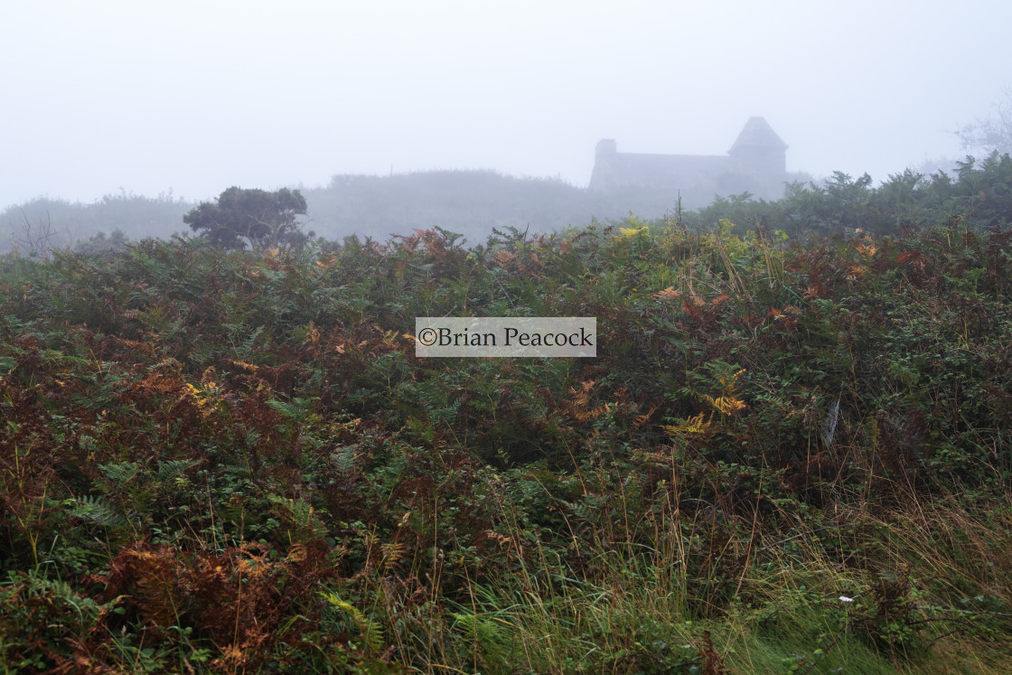 "Misty autumn morning" stock image