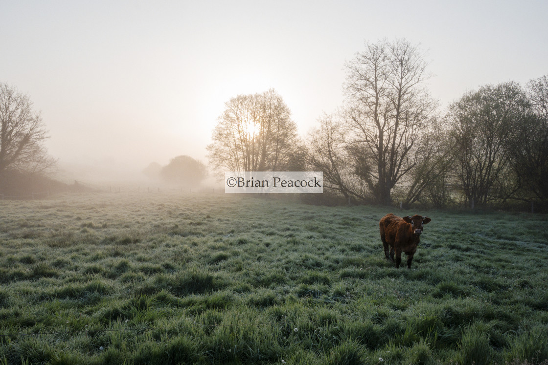 "Early morning, late April" stock image