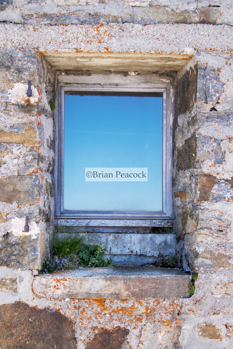 "Wild flowers growing on Alpine window sill" stock image