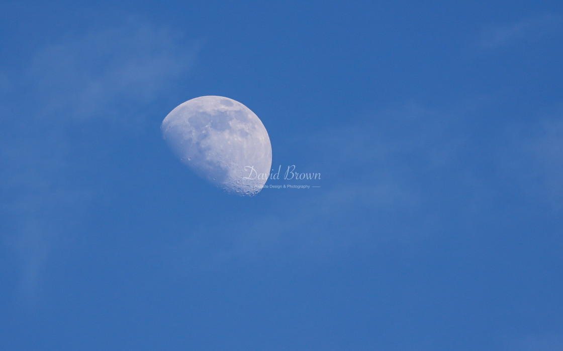 "Moon" stock image