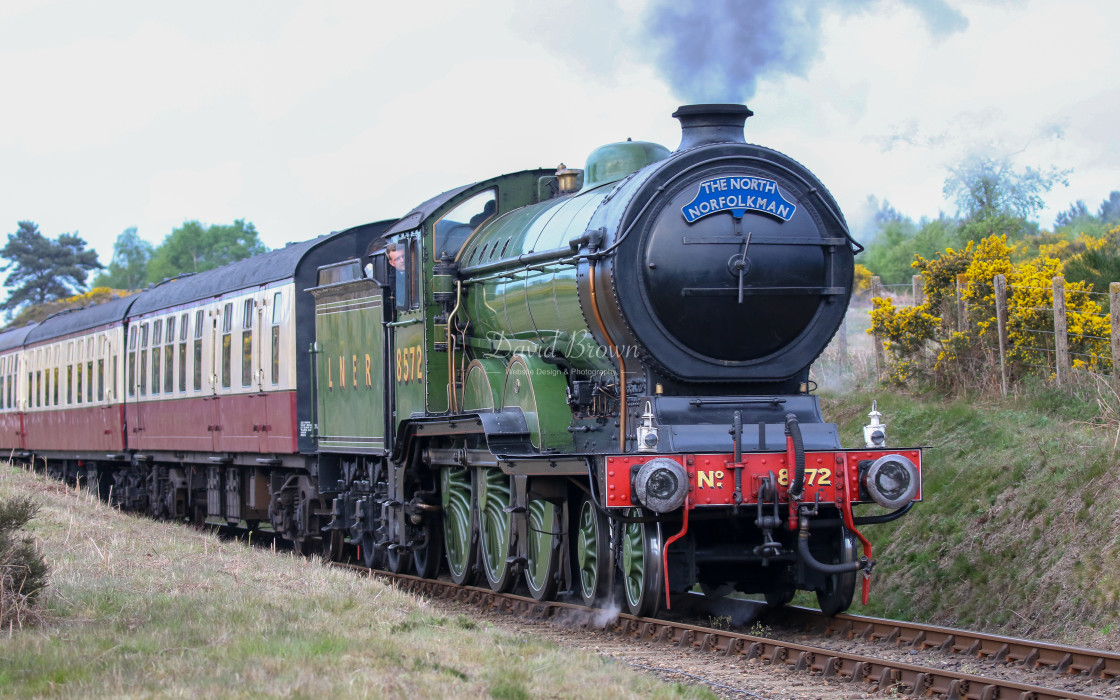 "8572 at Kelling Heath" stock image