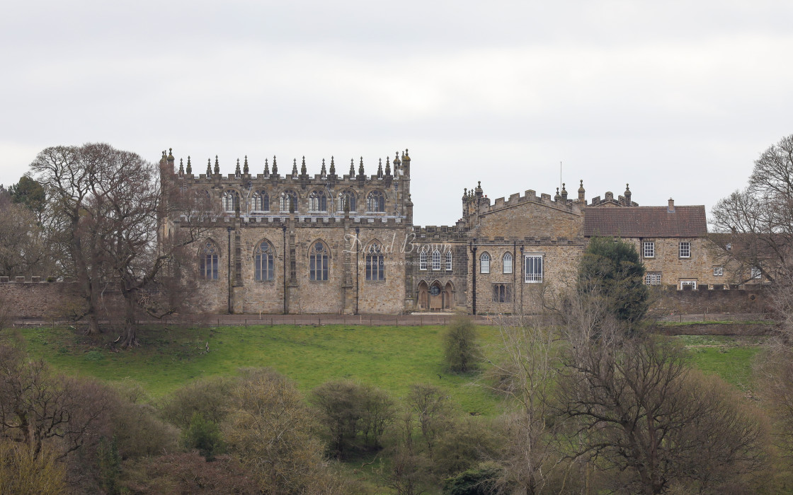 "Auckland Castle" stock image