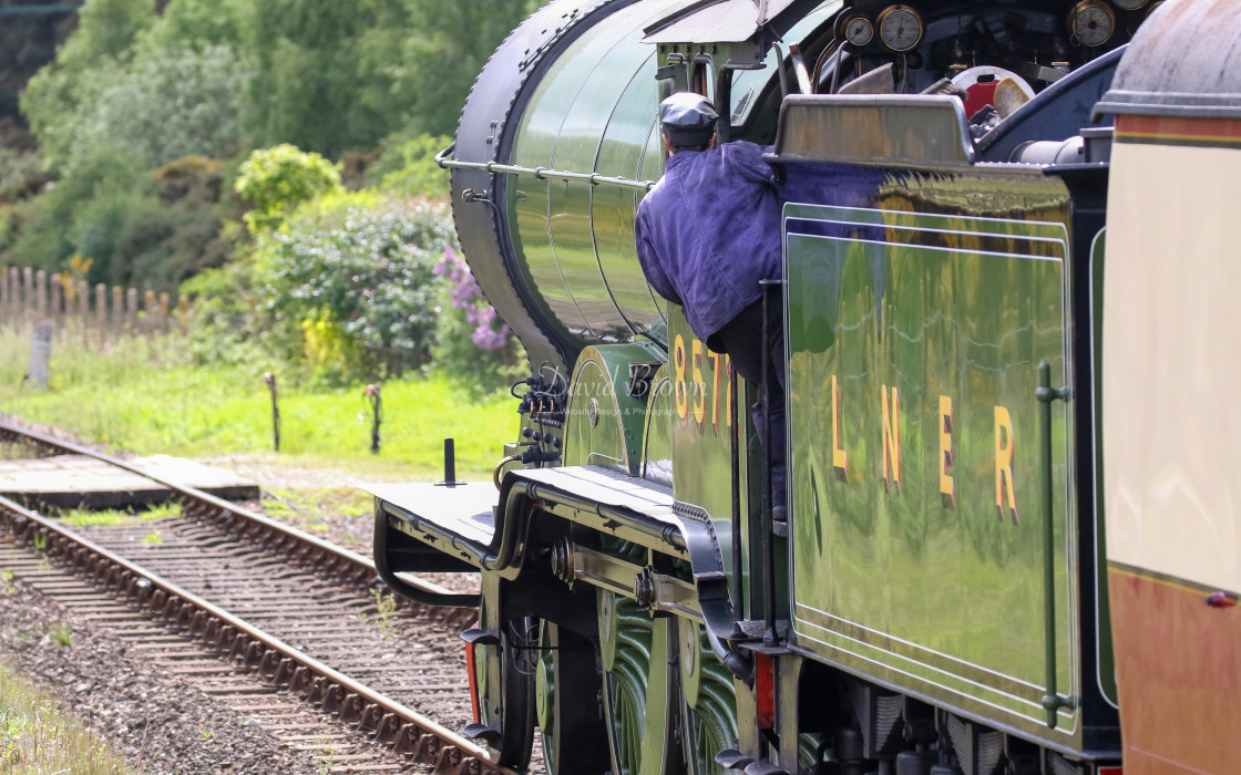 "8572 at Kelling Heath" stock image