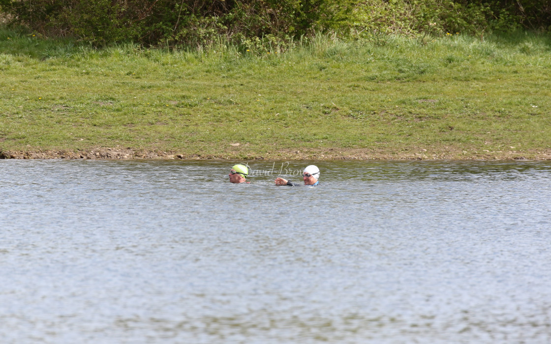 "Swimmers" stock image