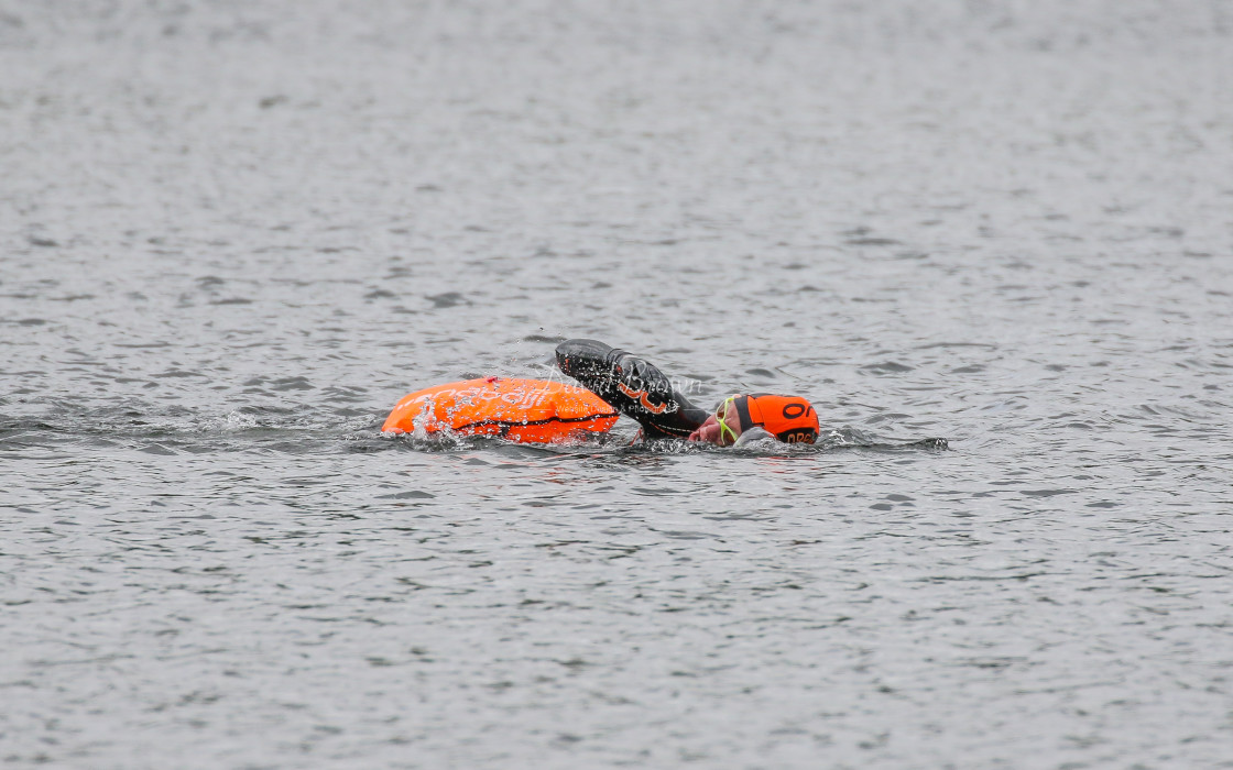 "Swimmer" stock image