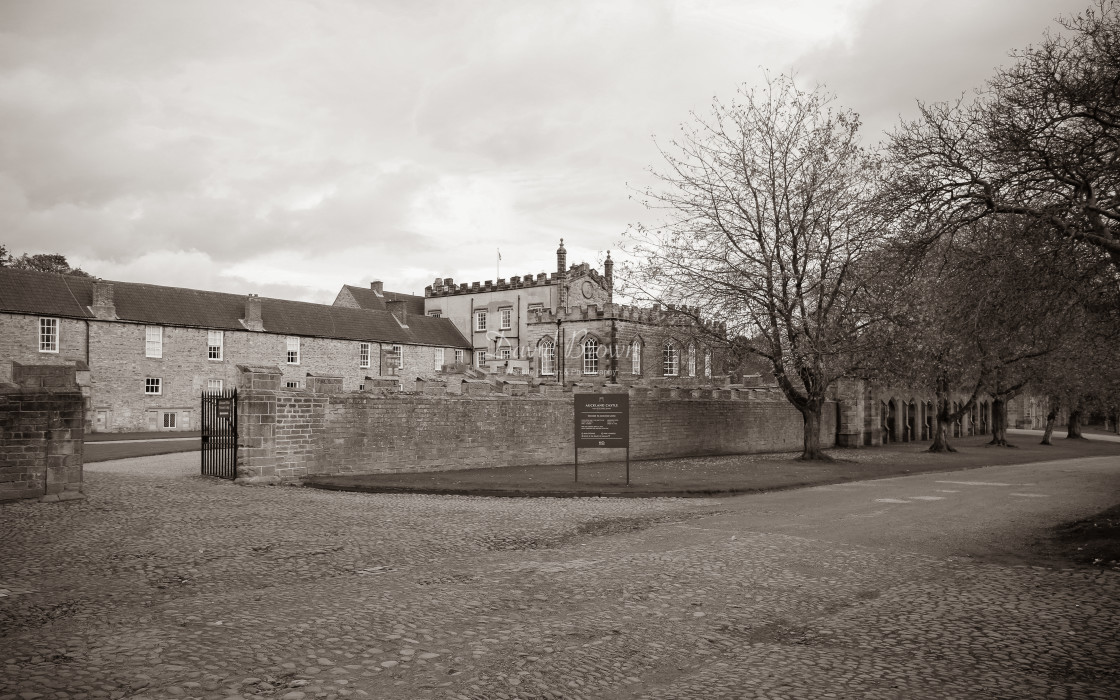 "Auckland Castle" stock image