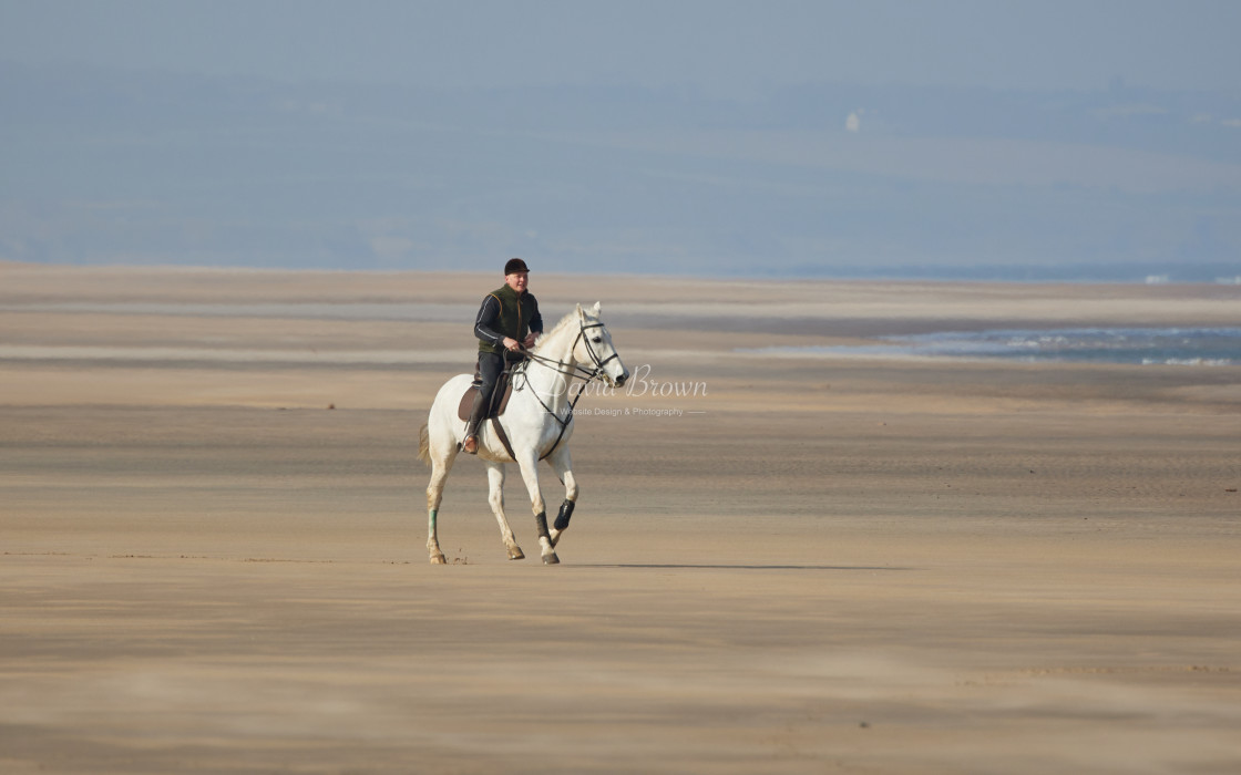 "Horse riding" stock image