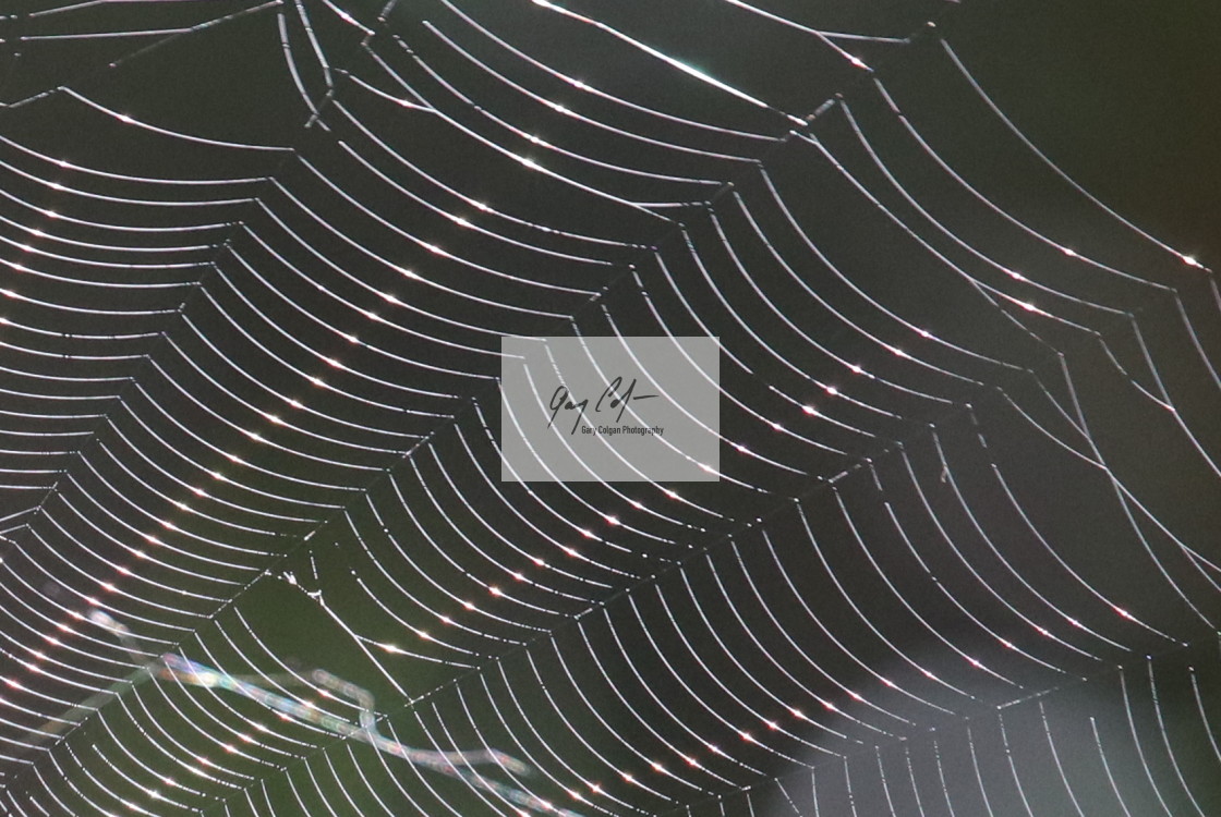 "Spider web" stock image