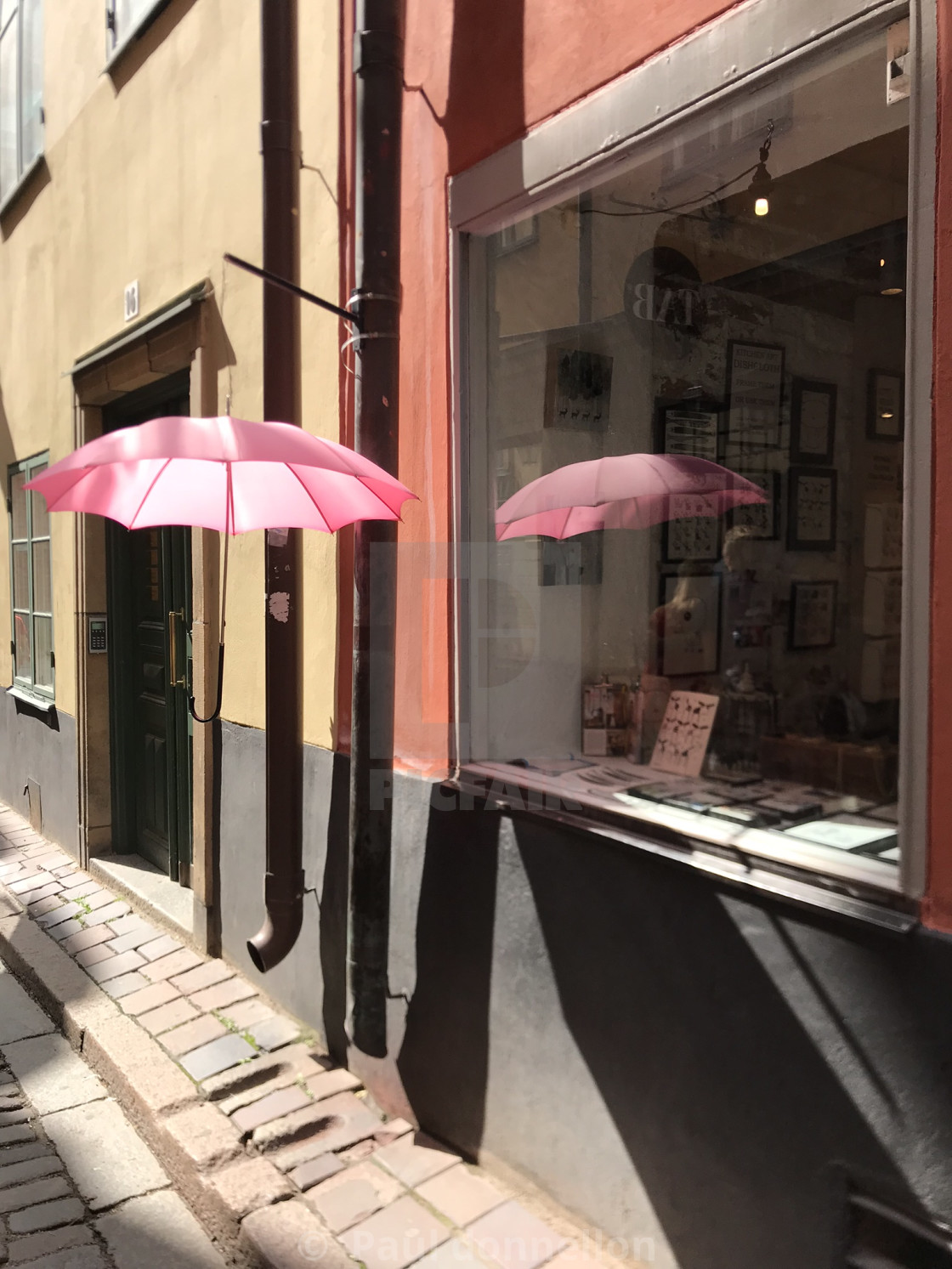 "Pink umbrella" stock image