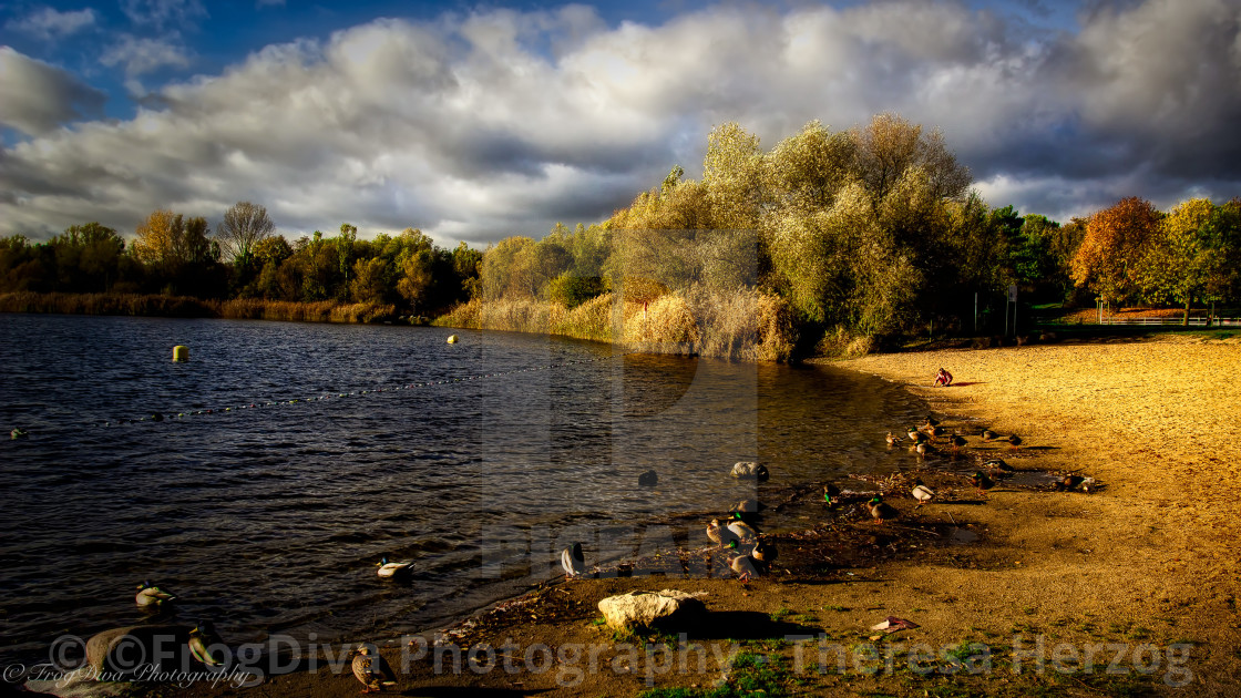"Light & Magic" by ©FrogDiva Photography / Theresa Herzog - $123.56 "Light & Magic" stock image