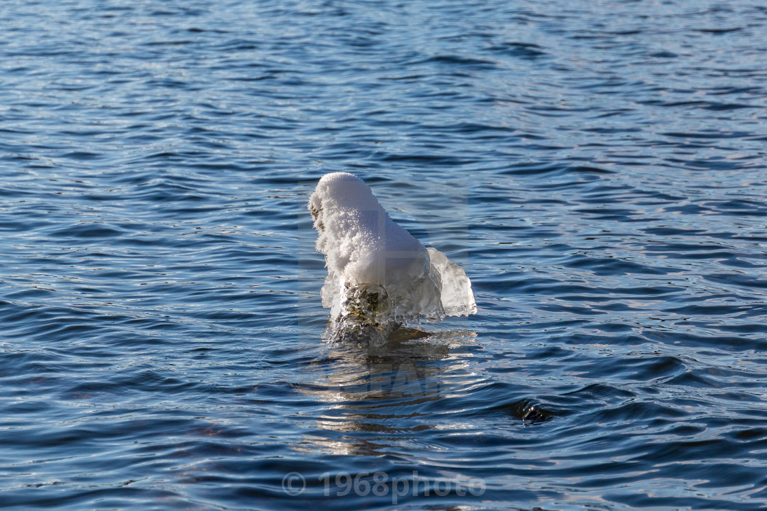 "Ice Dragon" stock image