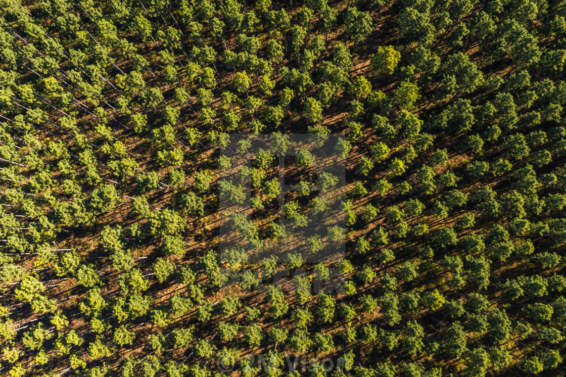 "Aerial view of the forest around Glass House Mountain" by 2M Vison - $46.32 "Aerial view of the forest around Glass House Mountain" stock image