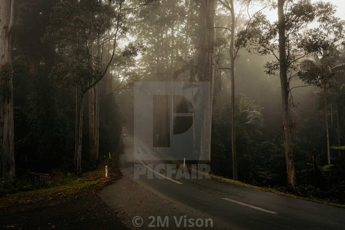 "Mount Glorious in the fog, Queensland, Australia" by 2M Vison - $46.32 "Mount Glorious in the fog, Queensland, Australia" stock image
