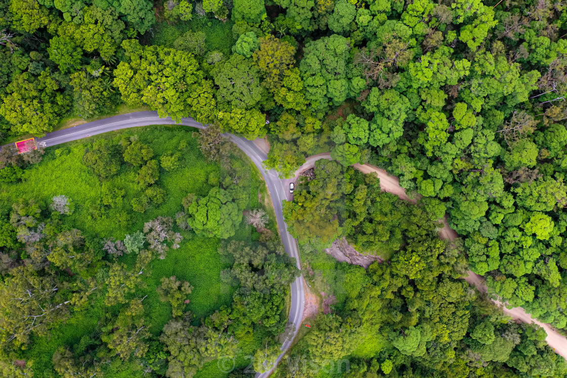 "Aerial view of the forest around Tamborine Mountain" by 2M Vison - $46.32 "Aerial view of the forest around Tamborine Mountain" stock image
