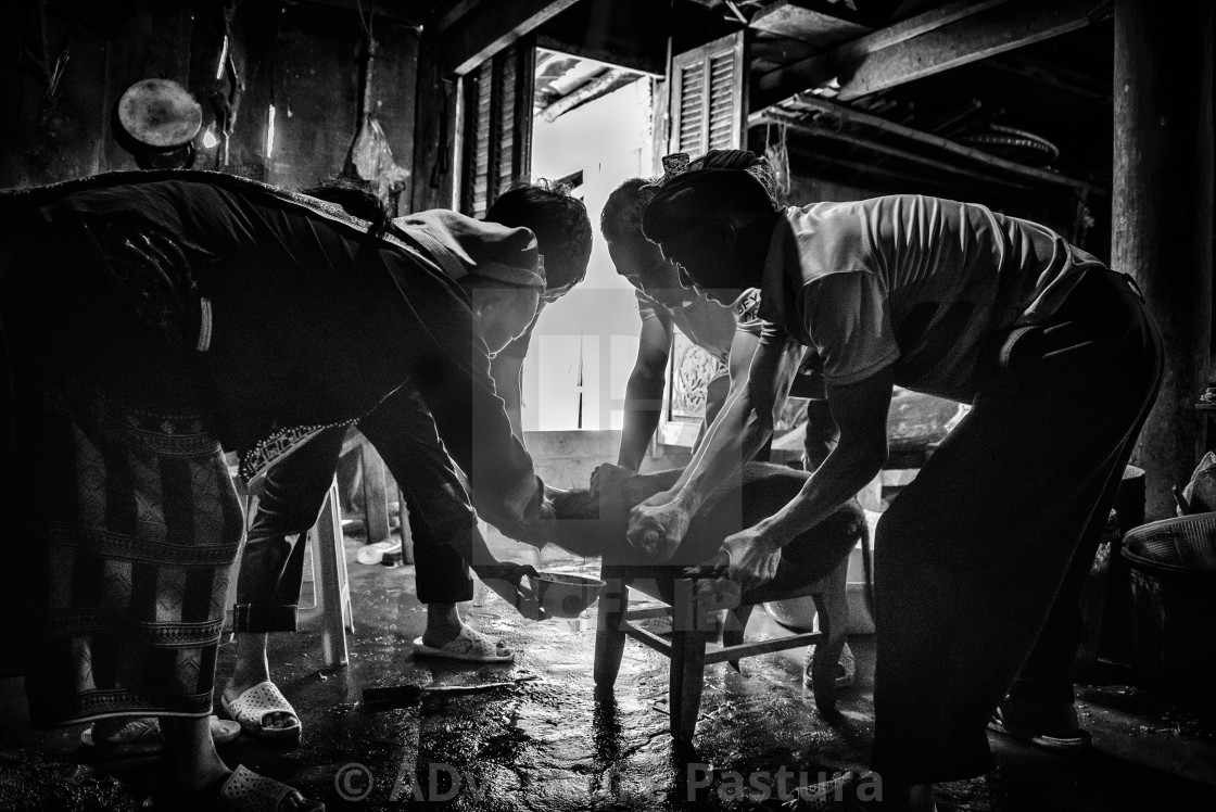 "Slaughtering of the sacrificial pig" by ADventure Pastura - $1,540.42 "Slaughtering of the sacrificial pig" stock image