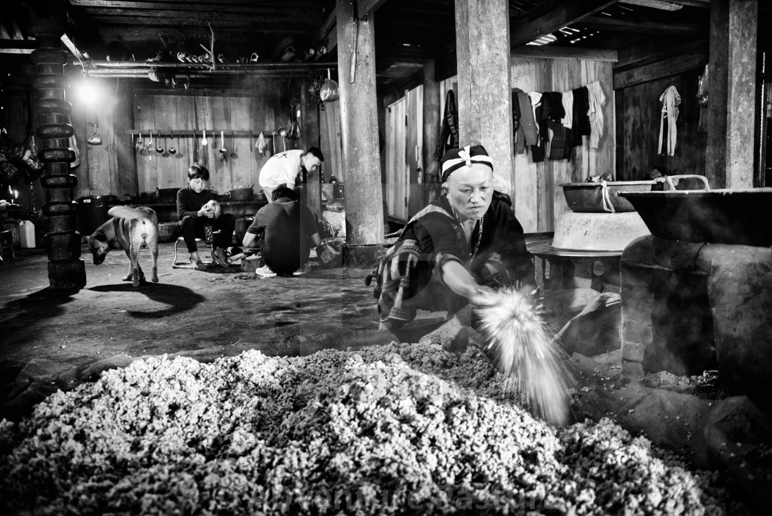 "Blow that rice" by ADventure Pastura - $1,540.42 "Blow that rice" stock image