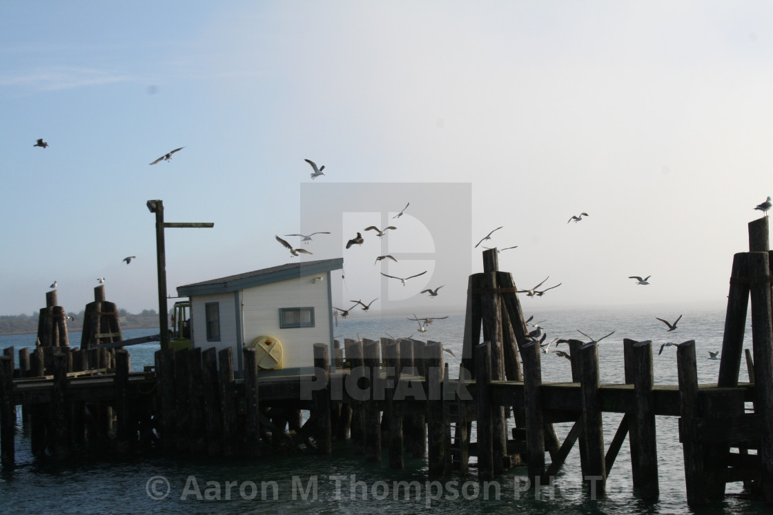 "Bodega Bay- Sonoma County, California" stock image