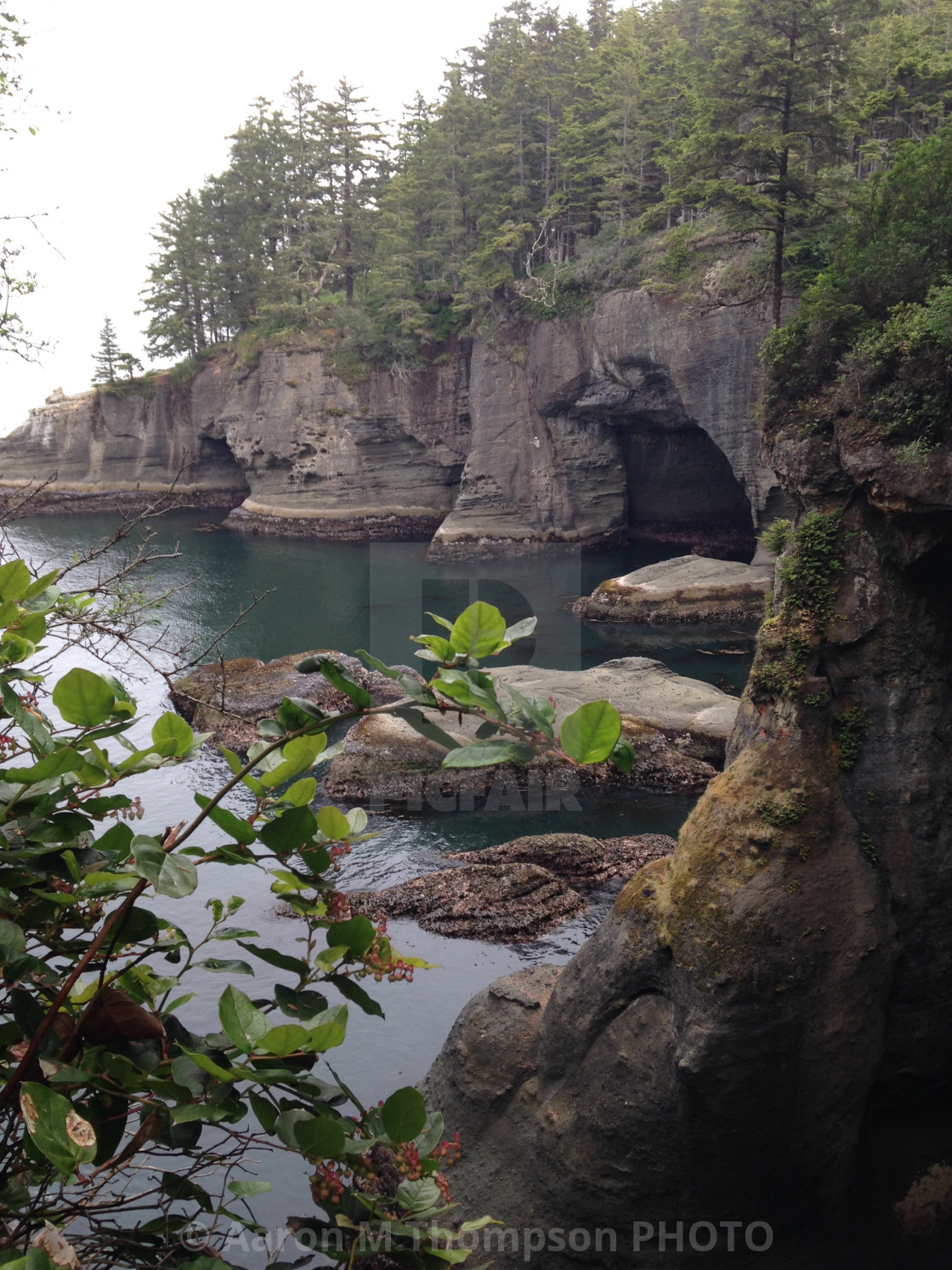 "Neah Bay Cove" stock image