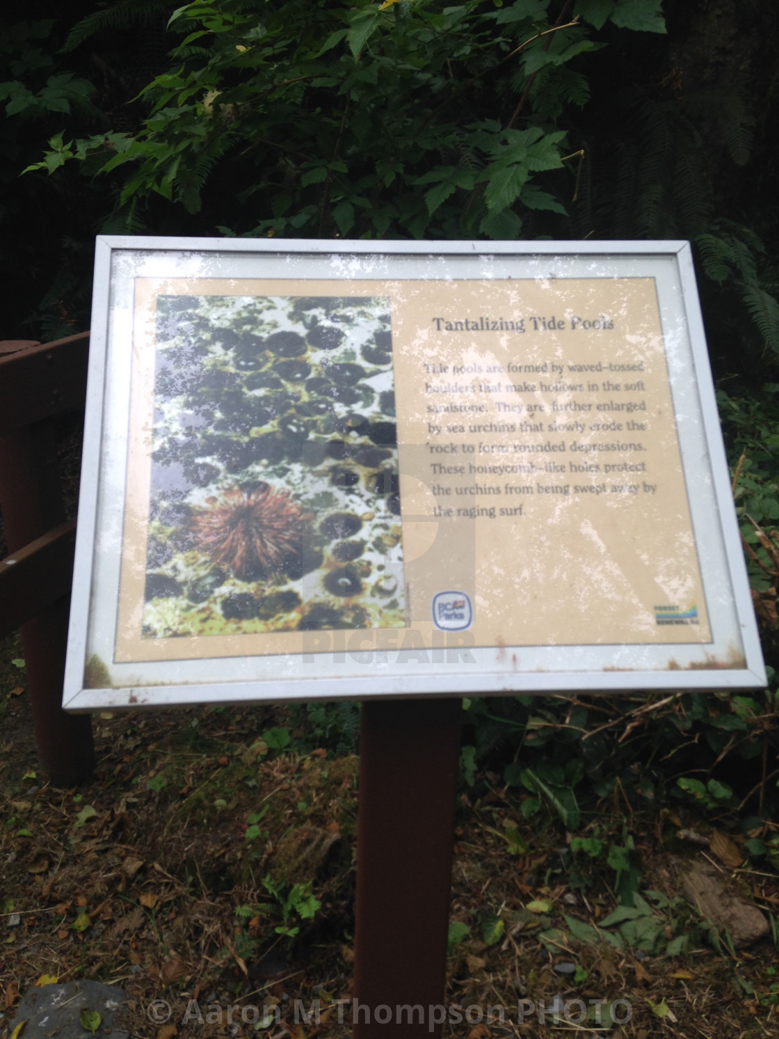 "Cape Flattery Trail sign" stock image