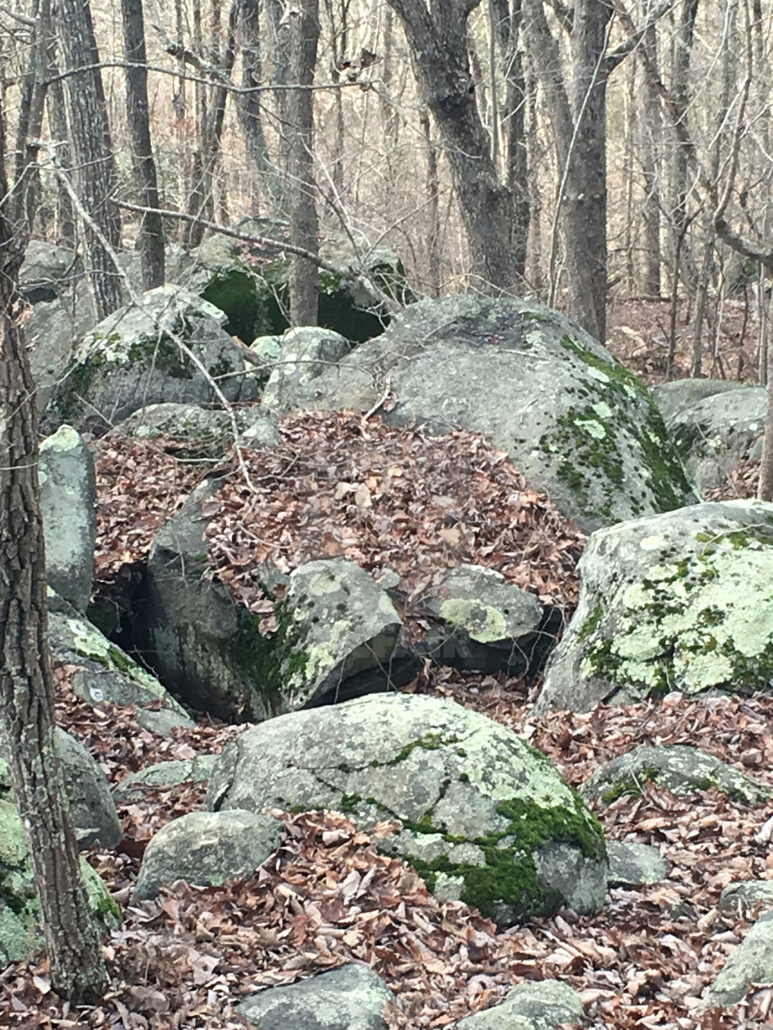 "Mossy Rocks in Fall" stock image