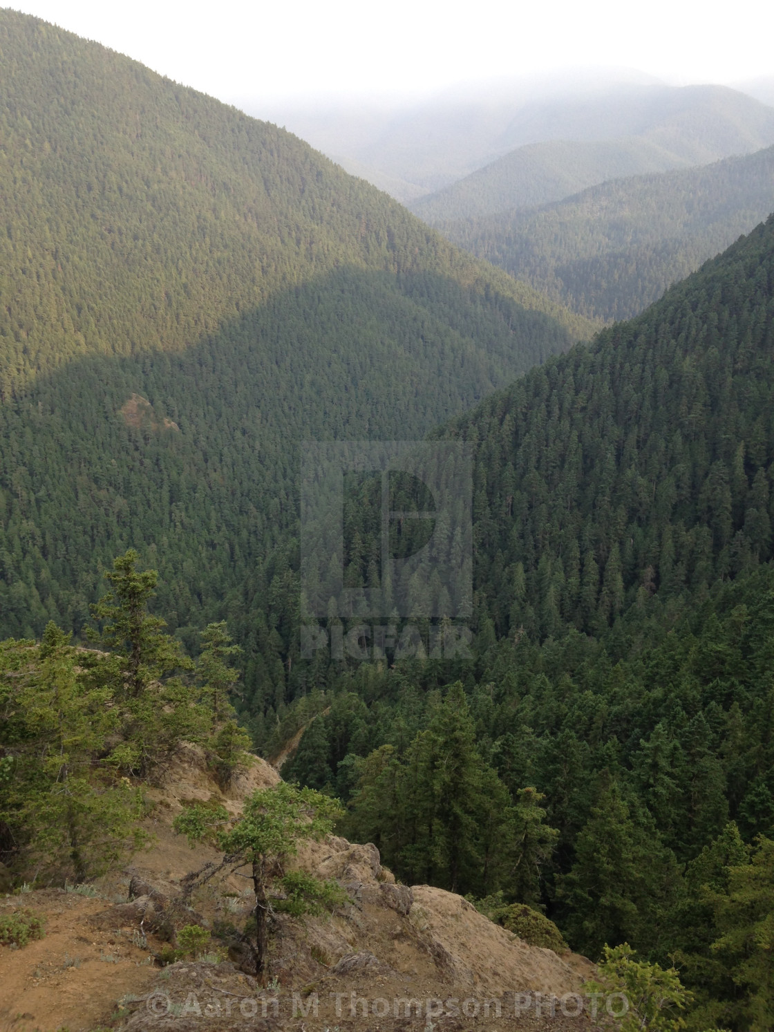 "Hurricane Ridge vista" stock image