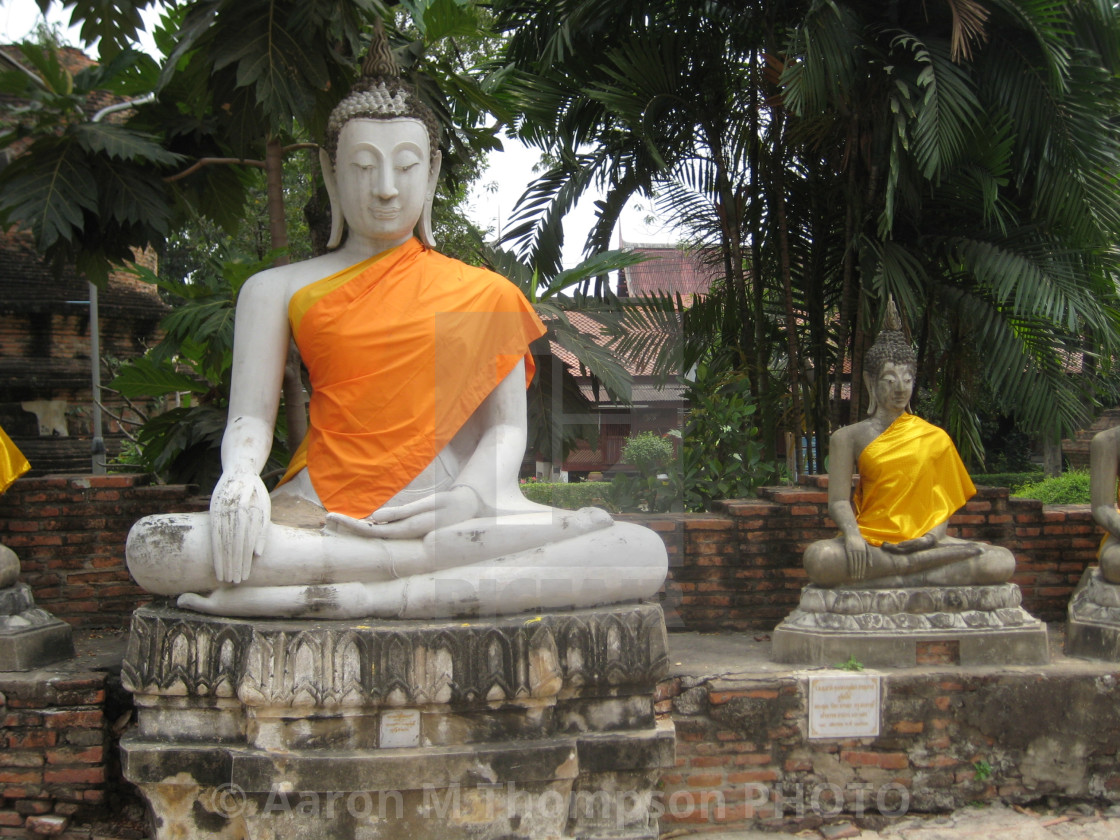 "Two Buddha statues in Ayutthaya" stock image