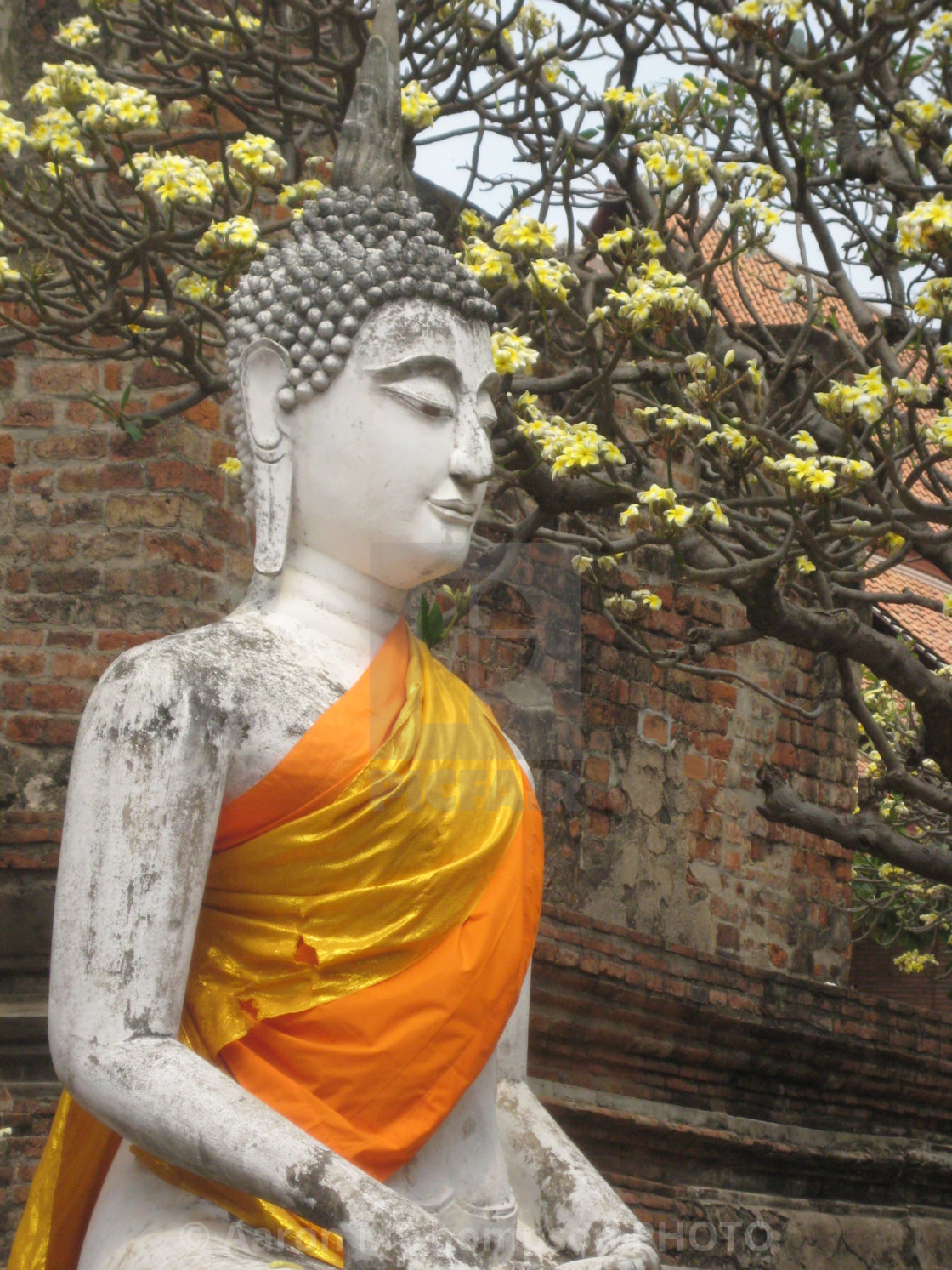 "Sitting Buddha- Ayutthaya, Thailand" stock image