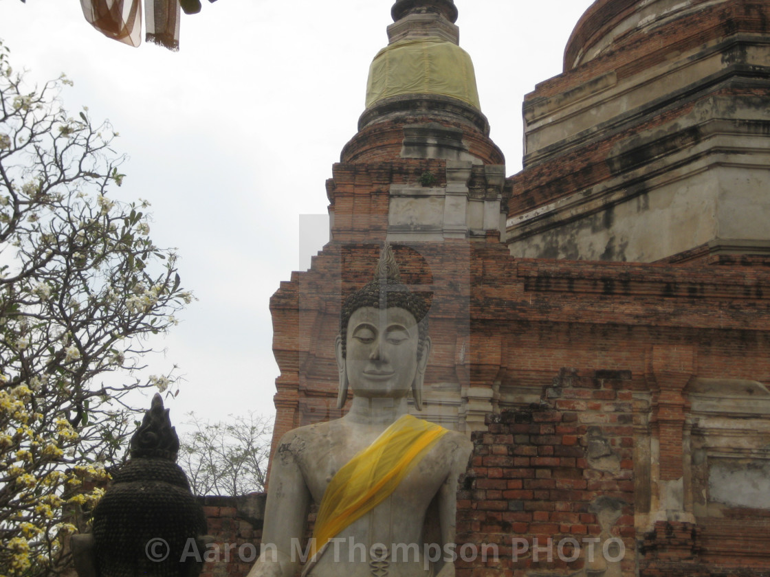 "Buddha scene" stock image