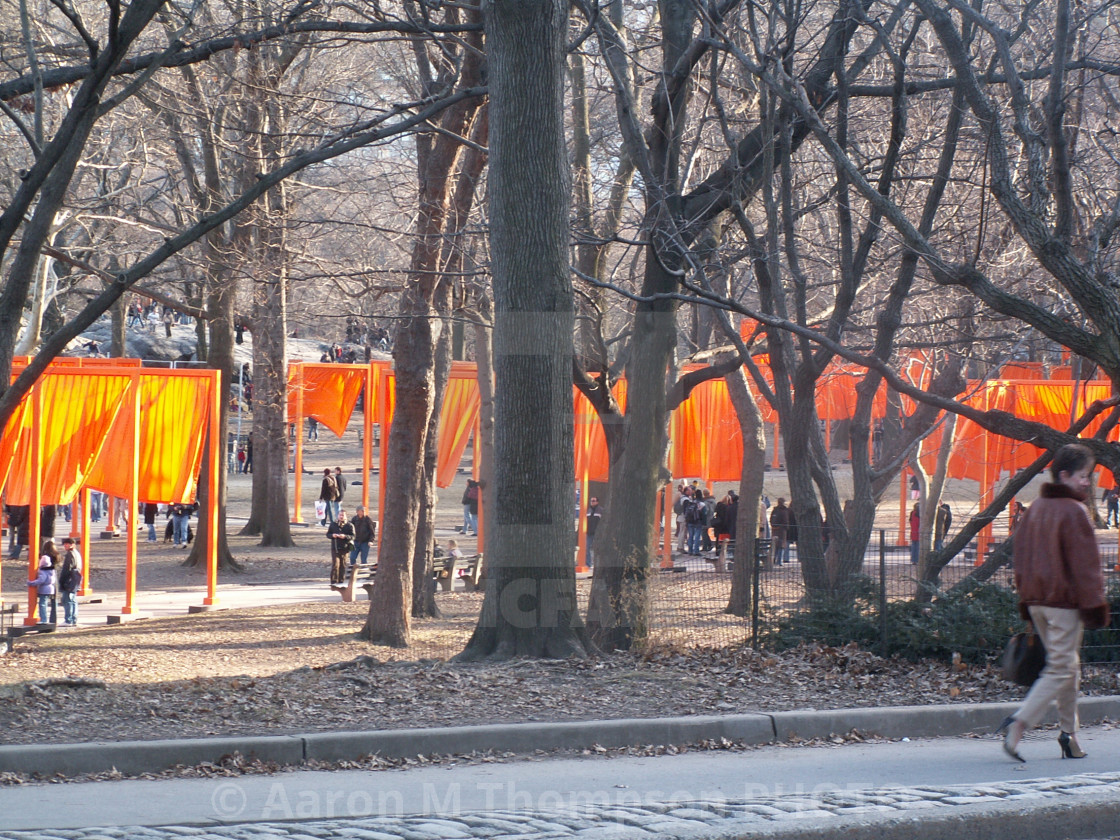 "Orange in the Forest- The Gates" stock image