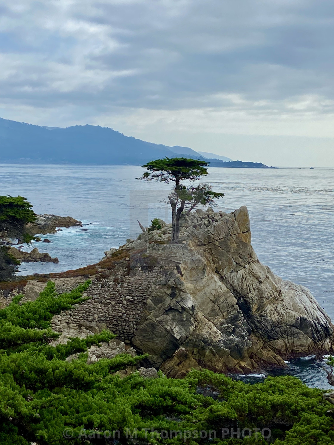 "The Lone Cypress- Pebble Beach, Ca" stock image