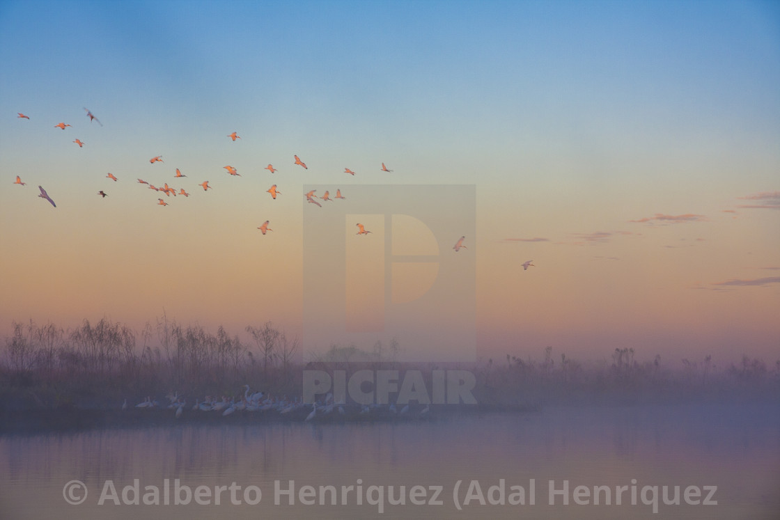 "Ready to Land" stock image