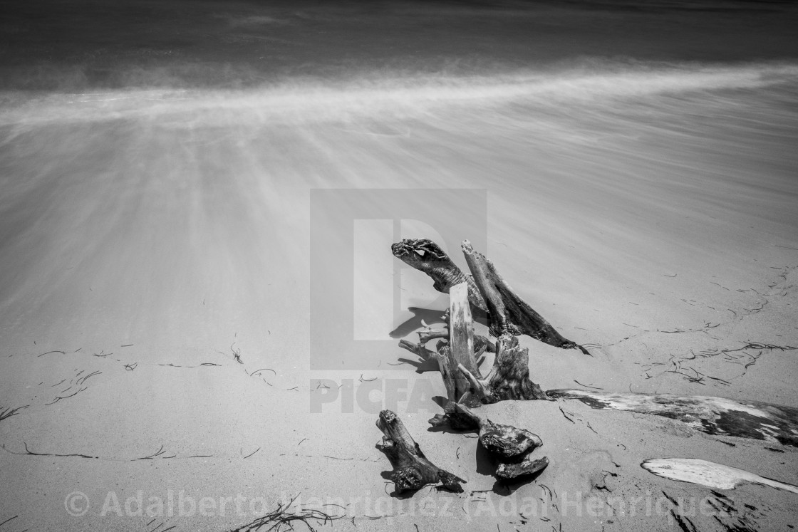 "Sunbathing" stock image