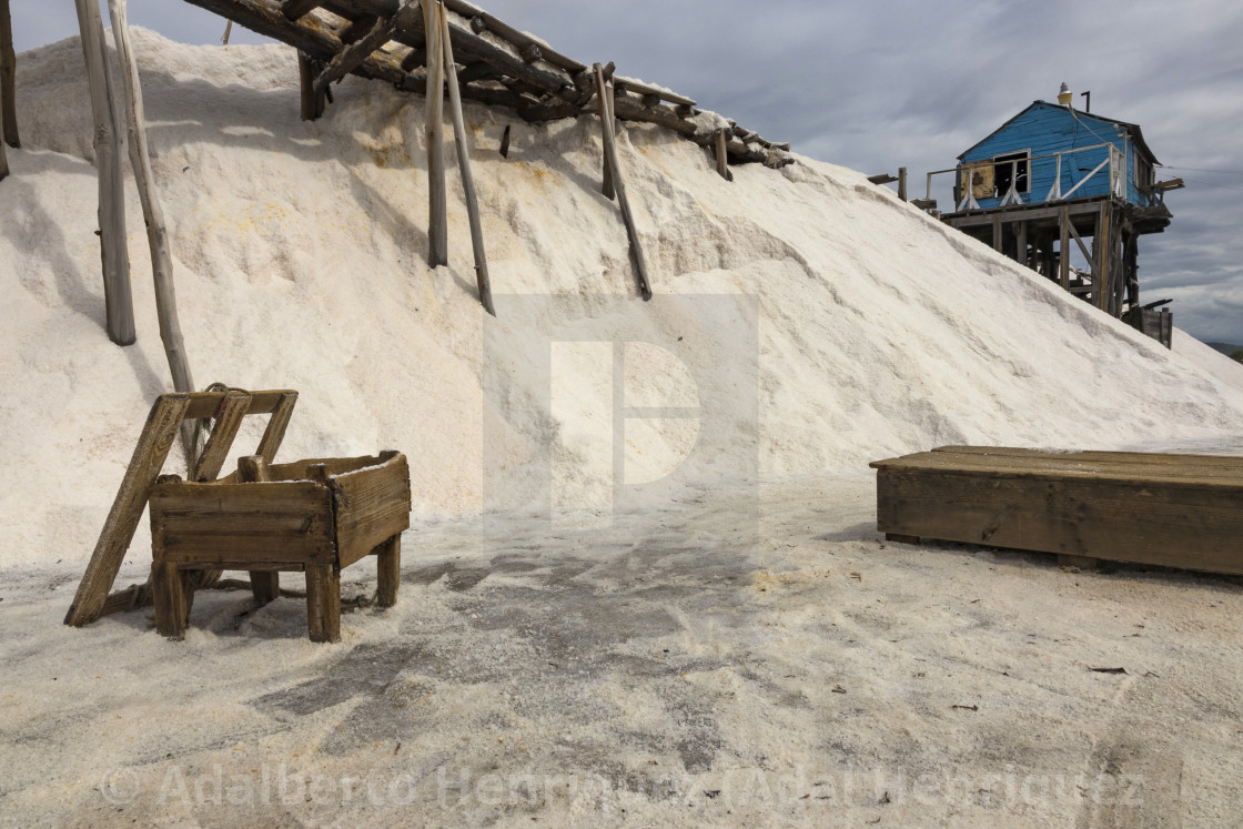 "Salt Mill" stock image