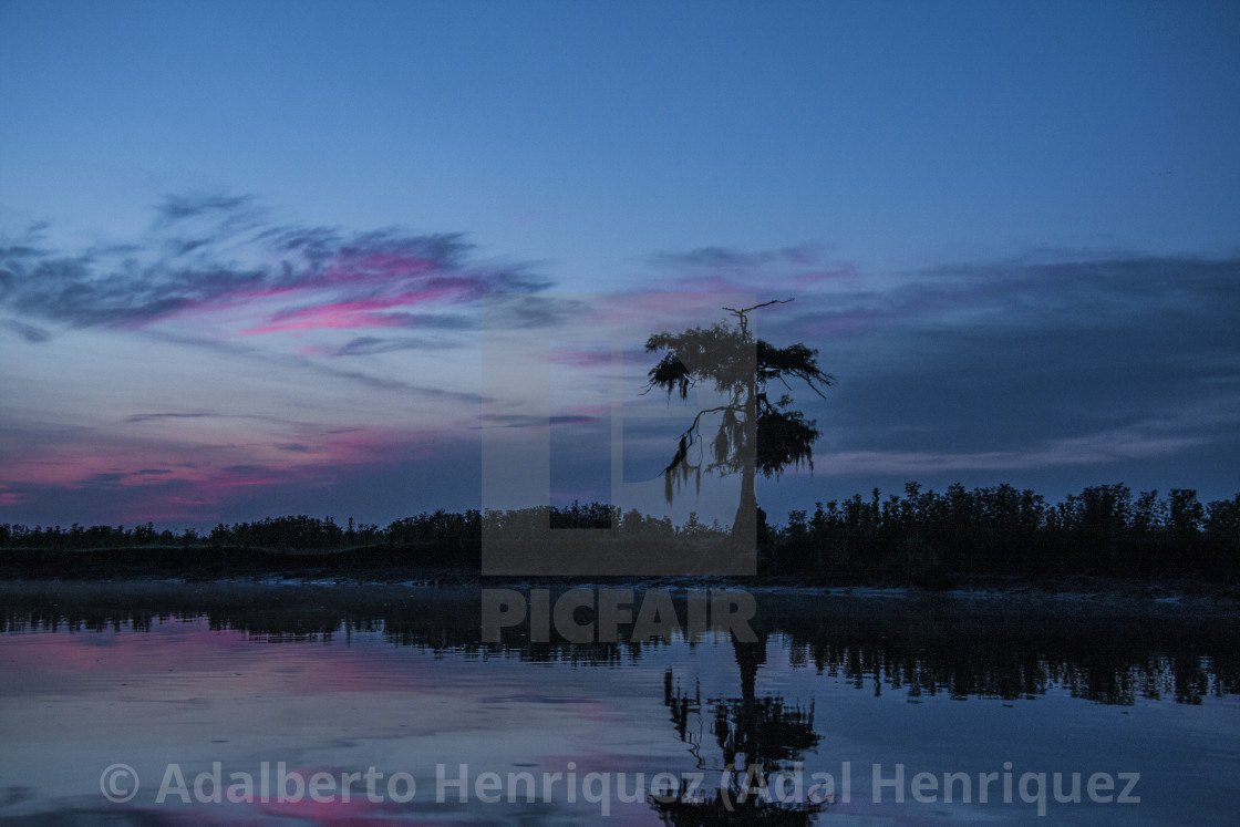 "Blue Hour" stock image