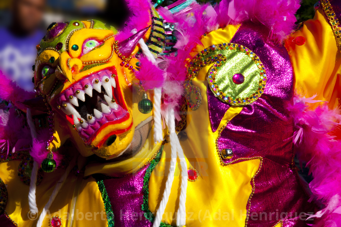 "Carnaval La Vega II" stock image